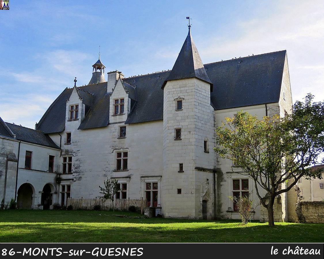 Вилла L'Olivier Monts-sur-Guesnes Экстерьер фото