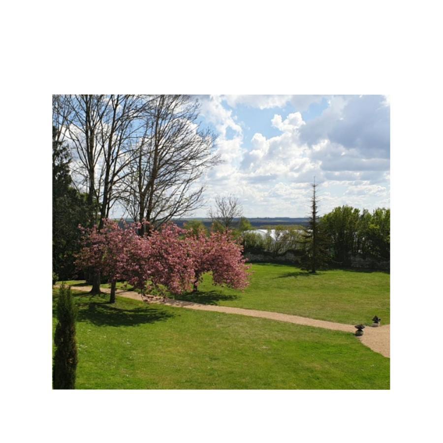 Вилла L'Olivier Monts-sur-Guesnes Экстерьер фото